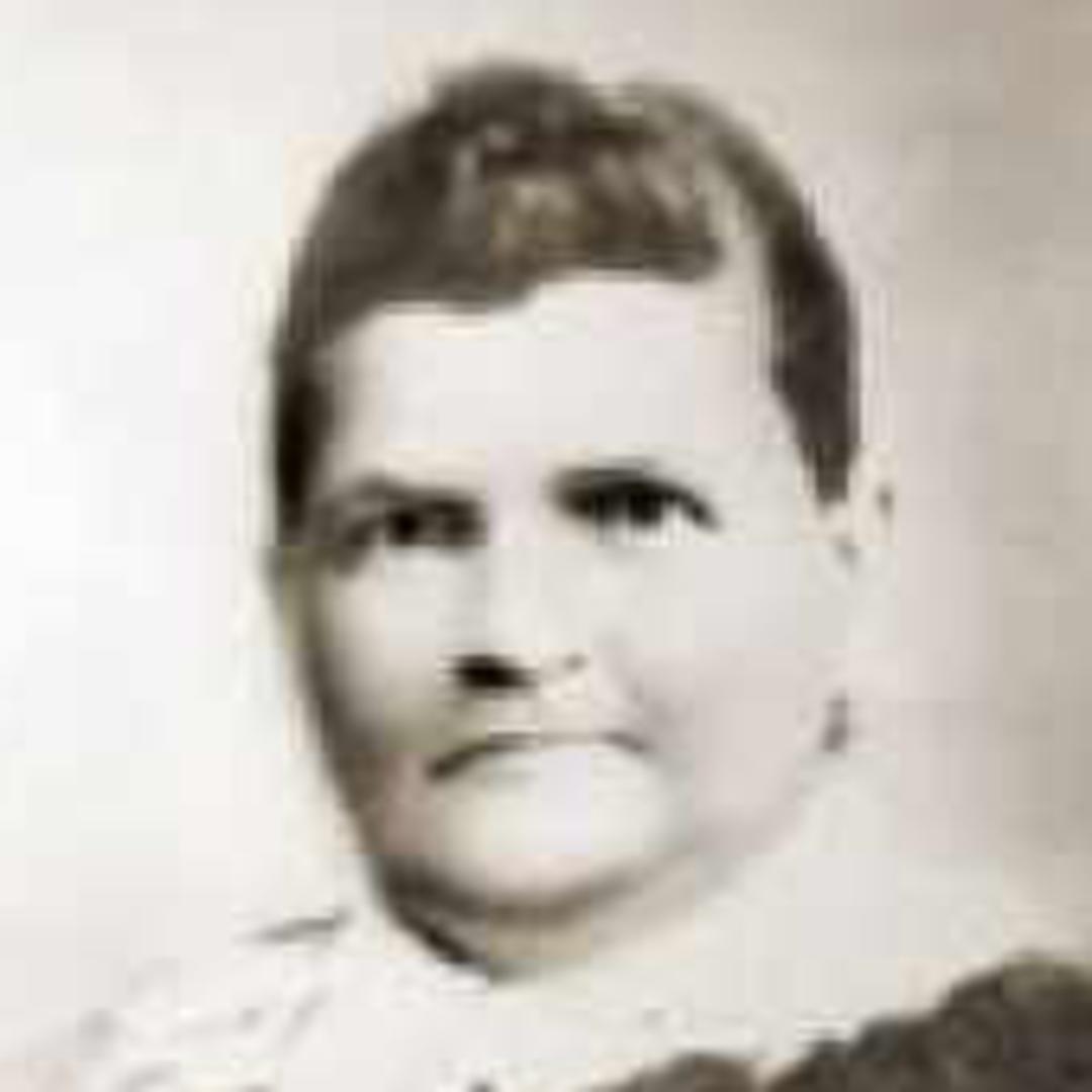 Ellen Johnson (1849 - 1926) Profile